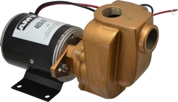 American Machine & Tool - 12 Volt, 1/8 hp, 3/4 Inlet, Bronze Utility Pump - 14 Max Head Pressure, 3/4 Inch Outlet - Eagle Tool & Supply
