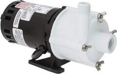 Little Giant Pumps - 1/30 HP, 14.6 Shut Off Feet, Magnetic Drive Pump - 3100 RPM, 1 Phase, 60 Hz - Eagle Tool & Supply