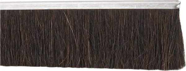 PRO-SOURCE - 1/2" Back Strip Brush Width, Metal Back Horsehair Strip Brush - 3" Bristle Length, Horsehair, 72" OAL - Eagle Tool & Supply