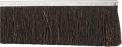 PRO-SOURCE - 1/2" Back Strip Brush Width, Metal Back Horsehair Strip Brush - 3" Bristle Length, Horsehair, 72" OAL - Eagle Tool & Supply