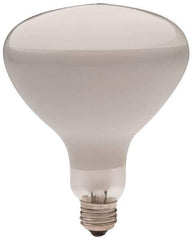 Philips - 300 Watt Incandescent Flood/Spot Medium Screw Lamp - 2,700°K Color Temp, 2,960 Lumens, 12 Volts, Dimmable, R40, 2,000 hr Avg Life - Eagle Tool & Supply