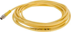 Brad Harrison - 4 Amp, M8 Male Straight to Pigtail Cordset Sensor and Receptacle - 60 VAC, 75 VDC, 4m Cable Length, IP68 Ingress Rating - Eagle Tool & Supply