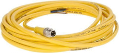 Brad Harrison - 4 Amp, M8 Male Straight to Pigtail Cordset Sensor and Receptacle - 60 VAC, 75 VDC, 4m Cable Length, IP68 Ingress Rating - Eagle Tool & Supply