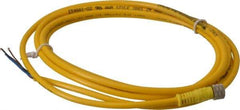 Brad Harrison - 4 Amp, M8 Female Straight to Pigtail Cordset Sensor and Receptacle - 60 VAC, 75 VDC, 2m Cable Length, IP68 Ingress Rating - Eagle Tool & Supply