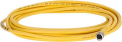 Brad Harrison - 3 Amp, M8 Female Straight to Pigtail Cordset Sensor and Receptacle - 60 VAC, 75 VDC, 4m Cable Length, IP68 Ingress Rating - Eagle Tool & Supply