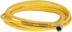 Brad Harrison - 3 Amp, M8 Female Straight to Pigtail Cordset Sensor and Receptacle - 60 VAC, 75 VDC, 2m Cable Length, IP68 Ingress Rating - Eagle Tool & Supply