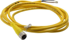 Brad Harrison - 4 Amp, M12 Female Straight to Pigtail Cordset Sensor and Receptacle - 250 VAC/VDC, 2m Cable Length, IP67 Ingress Rating - Eagle Tool & Supply