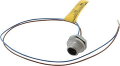 Brad Harrison - 4 Amp, 1/2-20 UNF Male Straight Receptacle - 250 VAC/VDC, 0.31m Cable Length, IP67 Ingress Rating - Eagle Tool & Supply