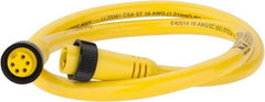 Brad Harrison - 8 Amp, Female Straight, Male Straight Cordset Sensor and Receptacle - 600 Volt, 0.91m Cable Length, IP67 Ingress Rating - Eagle Tool & Supply