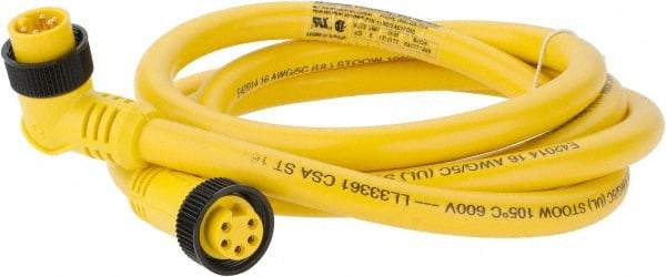 Brad Harrison - 8 Amp, Female 90° to Male 90° Cordset Sensor and Receptacle - 600 VAC/VDC, 6 Ft. Long Cable, IP68 Ingress Rating - Eagle Tool & Supply