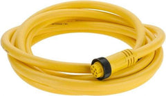 Brad Harrison - 8 Amp, Female Straight to Pigtail Cordset Sensor and Receptacle - 600 Volt, 3.66m Cable Length, IP67 Ingress Rating - Eagle Tool & Supply