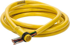 Brad Harrison - 7 Amp, Male Straight to Pigtail Cordset Sensor and Receptacle - 600 Volt, 3.66m Cable Length, IP67 Ingress Rating - Eagle Tool & Supply