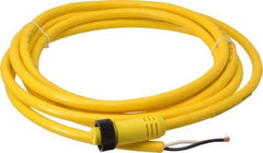 Brad Harrison - 13 Amp, Female Straight to Pigtail Cordset Sensor and Receptacle - 600 Volt, 3.66m Cable Length, IP67 Ingress Rating - Eagle Tool & Supply