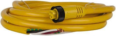 Brad Harrison - 10 Amp, Female Straight to Pigtail Cordset Sensor and Receptacle - 600 Volt, 3.66m Cable Length, IP67 Ingress Rating - Eagle Tool & Supply