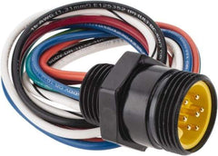 Brad Harrison - 8 Amp, Male Straight Receptacle - 600 VAC/VDC, 0.31m Cable Length, IP67 Ingress Rating - Eagle Tool & Supply