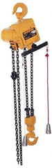 Harrington Hoist - 1 Ton Load Limit, 10' Max Height Top Hook Air Hoist - 19 FPM Lift Speed, 20.4" Min Headroom, Pull Cord Control - Eagle Tool & Supply