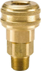 Parker - 1/2-14 Male NPTF Industrial Pneumatic Hose Coupler - Brass, 3/8" Body Diam - Eagle Tool & Supply