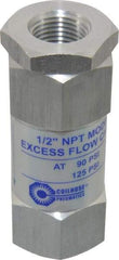 Coilhose Pneumatics - 1/2" Aluminum Check Valve - Inline, FPT x FPT - Eagle Tool & Supply