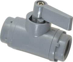Specialty Mfr - 1/4" Pipe, PVC Standard Ball Valve - Inline - Two Way Flow, FNPT x FNPT Ends, Wedge Handle, 125 WOG - Eagle Tool & Supply