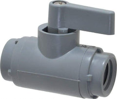 Specialty Mfr - 1/4" Pipe, PVC Standard Ball Valve - Inline - Two Way Flow, FNPT x FNPT Ends, Wedge Handle, 125 WOG - Eagle Tool & Supply