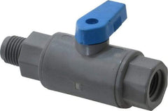 Specialty Mfr - 1/4" Pipe, PVC Standard Ball Valve - Inline - One Way Flow, MNPT x FNPT Ends, Wedge Handle, 125 WOG - Eagle Tool & Supply