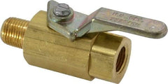 Specialty Mfr - 1/8" Pipe, Brass Standard Ball Valve - Inline - Two Way Flow, MNPT x FNPT Ends, Lever Handle, 500 WOG - Eagle Tool & Supply