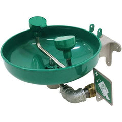 Haws - 15" Wide, Wall Mount, Plastic Bowl, Eyewash Station - 5 GPM Flow Rate - Eagle Tool & Supply