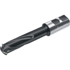 Walter - Indexable Thread Mills Cutting Diameter (mm): 20.00 Cutting Diameter (Decimal Inch): 0.7874 - Eagle Tool & Supply