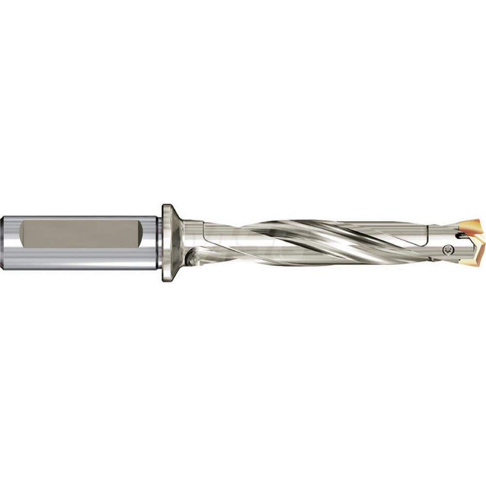 Replaceable Tip Drill: 0.7086 to 0.744'' Drill Dia, 5.9843″ Max Depth, 1'' Shank Seat Size 0.2280, Through Coolant