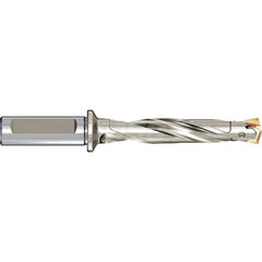 Replaceable Tip Drill: 0.7086 to 0.744'' Drill Dia, 5.9843″ Max Depth, 1'' Shank Seat Size 0.2280, Through Coolant