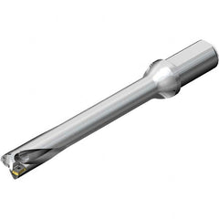 Sandvik Coromant - 100mm Max Drill Depth, 5xD, 20mm Diam, Indexable Insert Drill - Eagle Tool & Supply