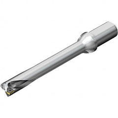 Sandvik Coromant - Indexable Insert Drills Drill Style: DS20 Drill Diameter (mm): 32.00 - Eagle Tool & Supply