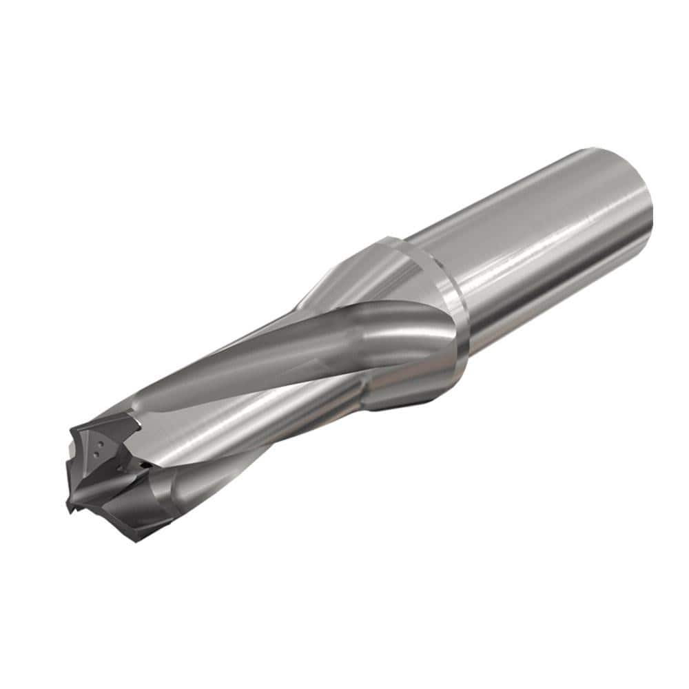 Replaceable Tip Drill: 15 to 15.9 mm Drill Dia, 25.97 mm Max Depth, 20 mm Straight-Cylindrical Shank Uses H3P Inserts, 103.66 mm OAL, Through Coolant