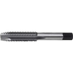 Cle-Line - Spiral Point Taps Thread Size (Inch): 3/4-16 Number of Flutes: 3 - Eagle Tool & Supply