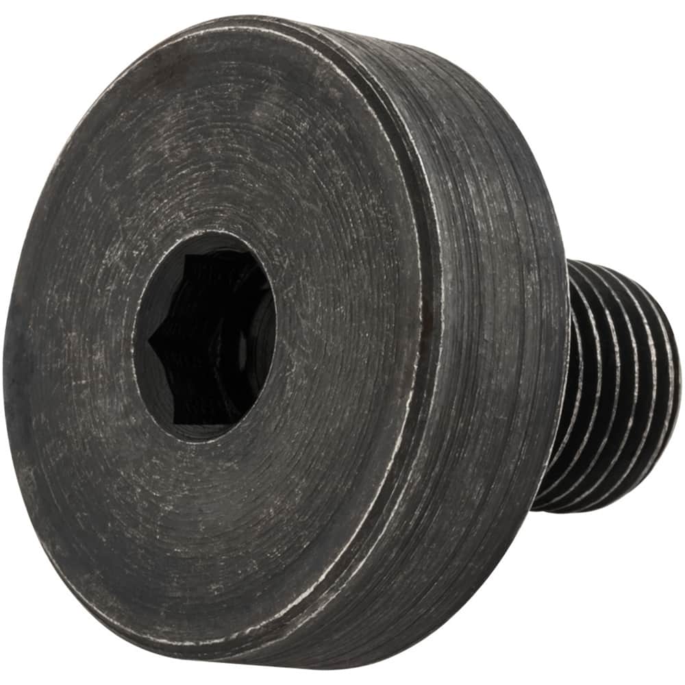 Seco - Shell Mill Holder Accessories Type: Shell Mill Arbor Screw Compatible Pilot Diameter (mm): 38.00 - Eagle Tool & Supply