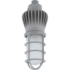Hubbell Lighting - Hazardous Location Light Fixtures Resistance Features: Vaporproof Recommended Environment: Indoor; Outdoor - Eagle Tool & Supply