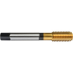 ‎5/16″- 18 Union Butterfield HSS-PM TiN Applix UNC UNC Machine Forming Tap ANSI E-code # 16415/16X18H5 - Exact Industrial Supply