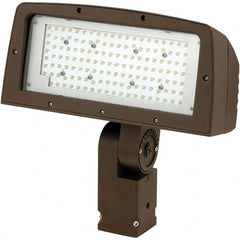 Hubbell Lighting - Floodlight Fixtures Mounting Type: Knuckle Mount Housing Color: Bronze - Eagle Tool & Supply