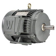 Worldwide Electric - Electric AC/DC Motors Motor Type: Premium Efficient Type of Enclosure: TEFC - Eagle Tool & Supply