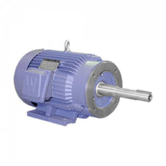 Worldwide Electric - Electric AC/DC Motors Motor Type: Premium Efficient Type of Enclosure: TEFC - Eagle Tool & Supply