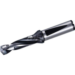 Replaceable Tip Drill: 17 to 17.99 mm Drill Dia, 54 mm Max Depth, 20 mm Flange Shank Seat Size 17, 130 mm OAL, Through Coolant