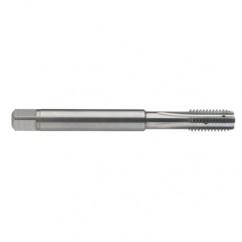 M5 x 0.8 Dia. - 6H - 4 FL - Carbide Semi-Bott Tap - Bright Finish-Coolant-Thru-FORM-C - Eagle Tool & Supply