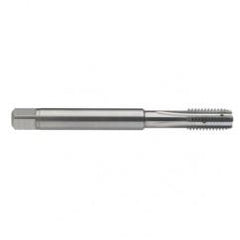 M6 x 1.0 Dia. - 6H - 4 FL - Carbide Semi-Bott Tap - Bright Finish-Coolant-Thru-FORM-C - Eagle Tool & Supply