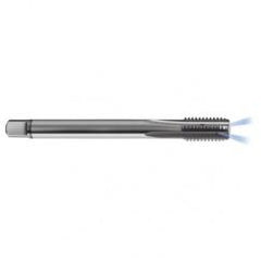 M20 x 2.5 Dia. - 6H - 4 FL - Carbide Semi-Bott Tap - Bright Finish-Coolant-Thru-FORM-C - Eagle Tool & Supply