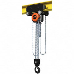 CM - 11,023 Lb Capacity, 10' Lift Height, Manual Chain Hoist - Eagle Tool & Supply