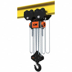 CM - 33,069 Lb Capacity, 15' Lift Height, Manual Chain Hoist - Eagle Tool & Supply