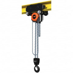 CM - 11,023 Lb Capacity, 30' Lift Height, Manual Chain Hoist - Eagle Tool & Supply