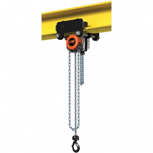 CM - 1,102 Lb Capacity, 20' Lift Height, Manual Chain Hoist - Eagle Tool & Supply
