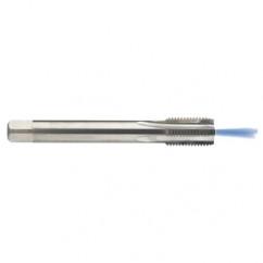 M12 x 1.75 Dia. - 6H - 4 FL - Carbide Semi-Bott Tap - Bright Finish-Coolant-Thru-FORM-C - Eagle Tool & Supply