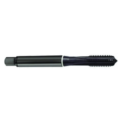 ‎#12-24 4FL 2B Cobalt Semi-Bott White Ring Tap-Blk-Ox FORM-C DIN 371 - Eagle Tool & Supply